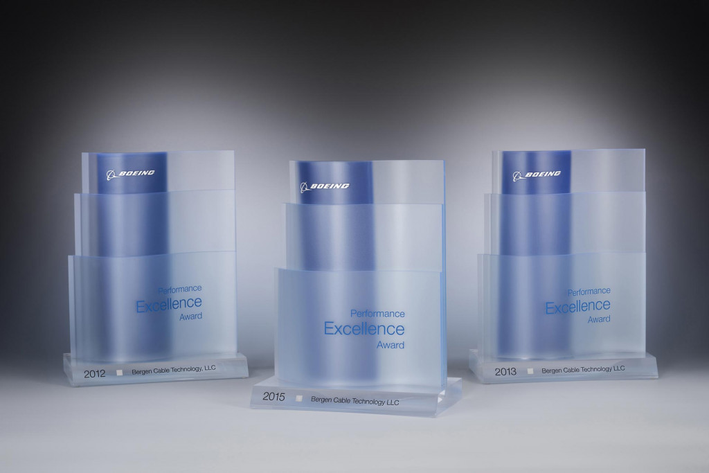 Performance Excellence Award